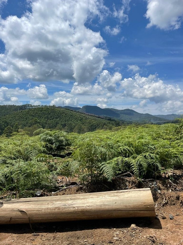 Imagem 26 de 30 de 51- Vendo Terreno Por 60 Mil Em Mogi Das Cruzes