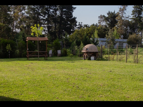 Imagen 11 de 14 de Alquiler Alojamiento Temporario Por Dia Cabaña Casa Departamento Tandil Nueva A Estrenar!