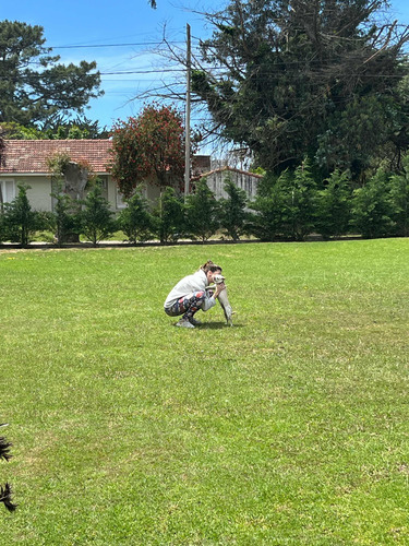 Alquiler Temporario De Casa En Mar Del Plata. Los Acantilados