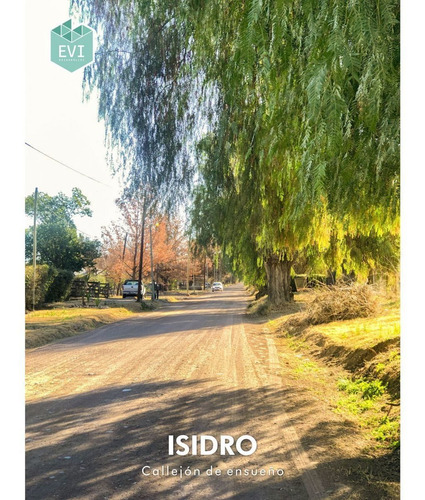 Imagen 5 de 11 de Loteo Isidro - Las Paredes San Rafael