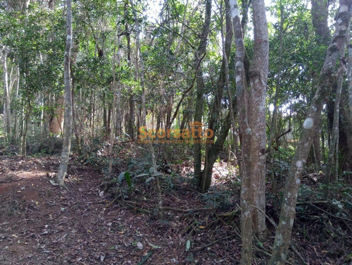 Imagem 2 de 4 de Terreno À Venda, Parque Yara Cecy, Itapecerica Da Serra/sp. - 5899
