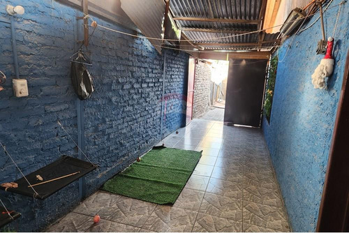 Tu Refugio Urbano En Calle Cipres