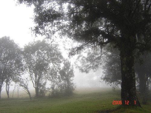 Imagen 4 de 14 de Venta De Lotes Campestres Sin Enganche Todas Las Medidas