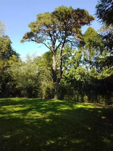 Imagen 10 de 15 de Terreno - Barrio El Cazador