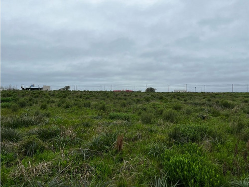 Vendo Lote De 1 Hectárea En San Justo, Entre Ríos.