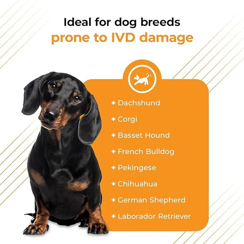 Vetriscience Vetri Disc Suplemento Soporte De Columna Perros