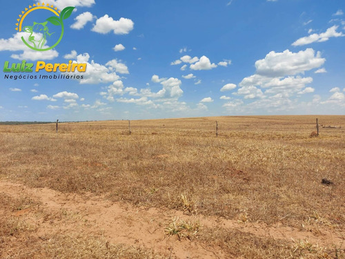 Imagem 2 de 14 de Fazenda À Venda Em Tupiratins - To -n 1.728 Hectares (dupla Aptidão) - 2058