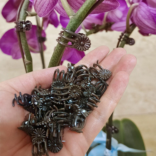 100 Uds Clips Para Clip De Fijación Para Escalada De