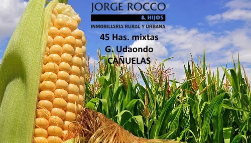 Campo En Venta En Cañuelas. 45 Has. Mixtas 