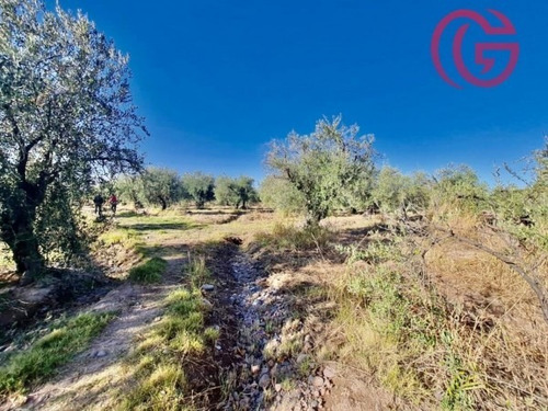 Imagen 3 de 16 de Greenwood Vende Finca Con Potencial