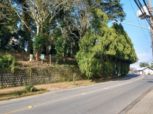 Imagem 8 de 14 de Mini Chácara No Bairro Glória|estuda Permuta| 4.328 M² - Sa00773 - 34103277