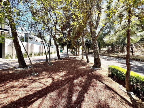 Imagen 10 de 26 de El Mejor Terreno De Colinas Del Bosque