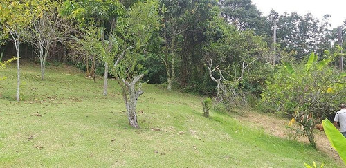 Chácara Com 3 Dormitórios À Venda, 4000 M² Por R$ 650.000,00 - Joaquim Egídio - Campinas/sp - Ch0479