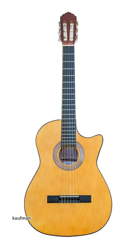 Imagen 1 de 5 de Danwood Guitarra Acústica Clásica Con Corte Escv