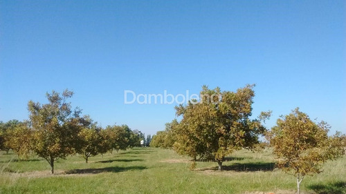 Imagen 10 de 25 de Terreno En Venta O Permuta Ubicado En Punta Indio, Resto De La Provincia