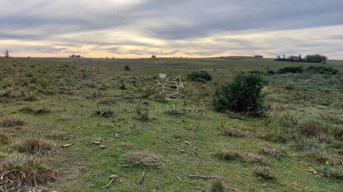 114 Has 9201 M2 En Paraje Jose Ignacio