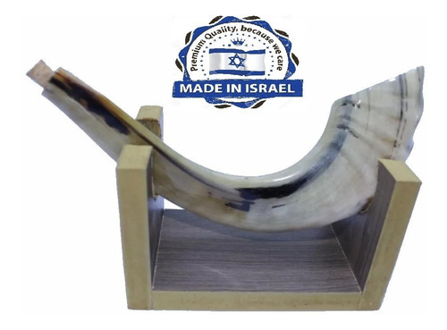 Imagem 9 de 10 de Shofar Chifre De Carneiro De Tocar Ou Ungir/unção + Suporte - Original De Israel