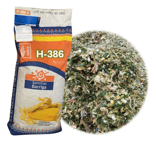 Semilla De Maiz Hibrido Amarillo Para Silo H-386 Forrajero