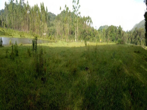 Imagem 8 de 19 de Sítio À Venda Em Juquitiba, Excelente Oportunidade! - 355 - 33553342