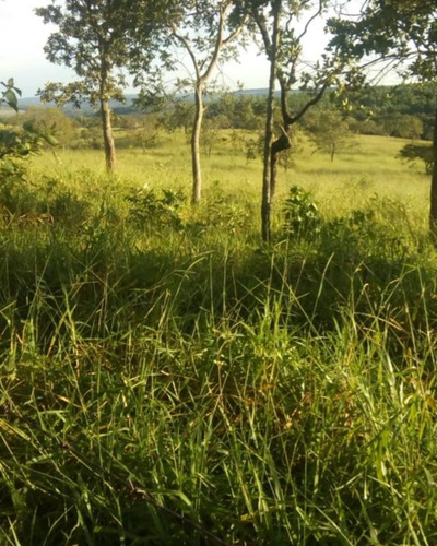 Imagem 8 de 8 de Terra Com Casa Há 37km De Formiga - Mg