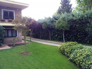 Imagen 6 de 10 de Jardinería, Mantenimiento De Espacios Verdes