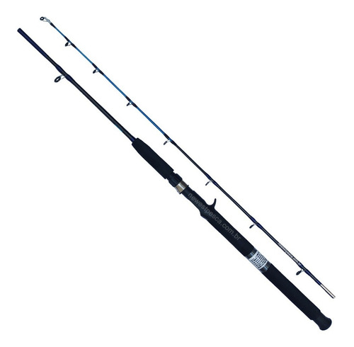 Imagem 2 de 6 de Vara Pesca Carretilha Tambaqui C1652 Ação Média 20-35 Libras