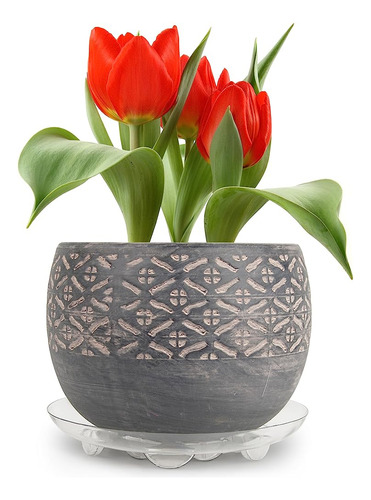 Plastec Ss008 Super Saucer Para Plantadora, 8 Pulgadas, Tran