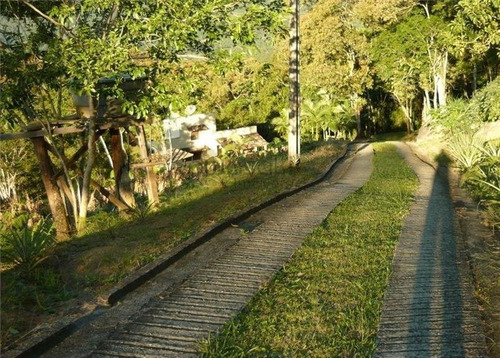 Imagem 8 de 19 de Terreno Para Venda Em Serra Da Igreja Morretes-pr - 5641