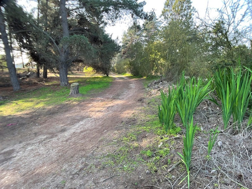Terreno A Tres Cuadras De Gastón Hamel