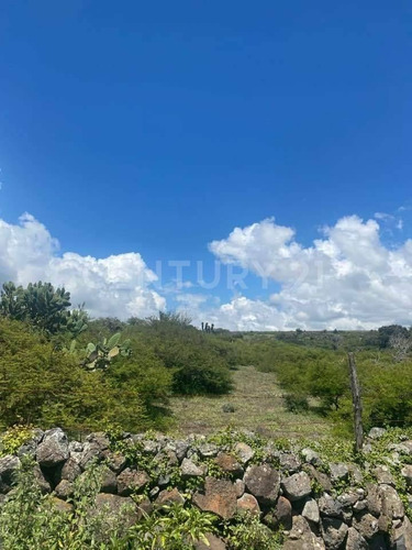 Imagen 16 de 24 de Se Vende Rancho En Hidalgo Para Inversionistas