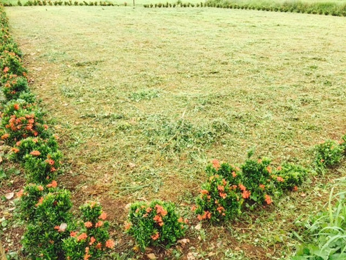 Imagen 7 de 10 de Se Vende Lote 749 M2 La Fortuna San Carlos