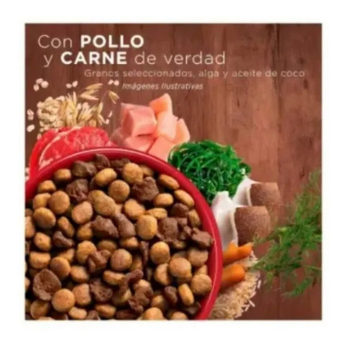 Alimento Para Perro One Purina Pollo Y Carne 2 De 12kg C/u