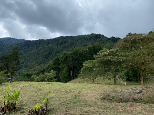 Lote En Venta La Estrella Antioquia