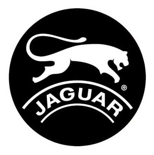 Imagen 5 de 7 de Jaguarart 918 Zapatilla Deportiva Mujer Moda Ultra Liviana