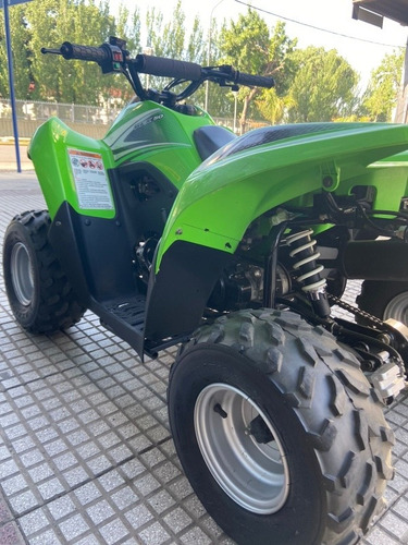 Imagen 11 de 13 de Kawasaki Kfx 50 Motoswift
