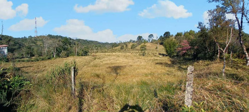 Imagem 8 de 11 de Sítio / Chácara Para Venda Em São José Dos Pinhais, Área Rural De São José Dos Pinhais, 4 Dormitórios, 1 Banheiro, 3 Vagas - 83_2-1228533