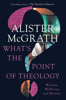 Libro What's The Point Of Theology?: Wisdom, Wellbeing An...