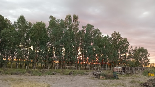 Casa Nueva De 165 Mt2 Con Importante Terreno De 4448 Metros