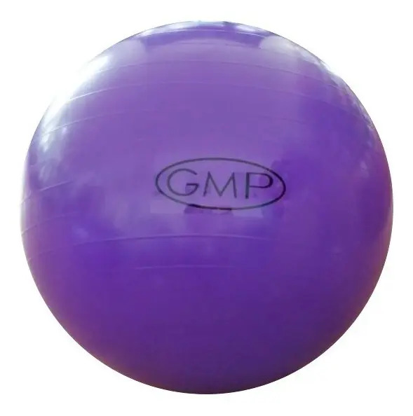 Pelota Gmp 65 Cm Violeta Esferodinamia Pilates Yoga Texturada