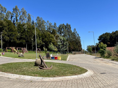 Pingueral, Proyecto Con Alta Rentabilidad En 4 Lotes
