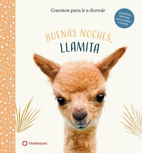 BUENAS NOCHES LLAMITA, de Wood, Amanda. Editorial Flamboyant, S.L., tapa dura en español