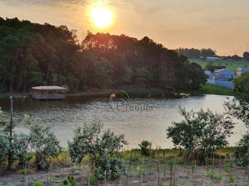 Imagem 5 de 11 de Terreno À Venda, 1000 M² Por R$ 850.000,00 - Reserva Petrus - Indaiatuba/sp - Te0567