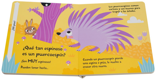 Libro con ventanas deslizables: ¿Qué tan grande es un oso?, de Regan, Lisa. Editorial Silver Dolphin (en español), tapa dura en español, 2023