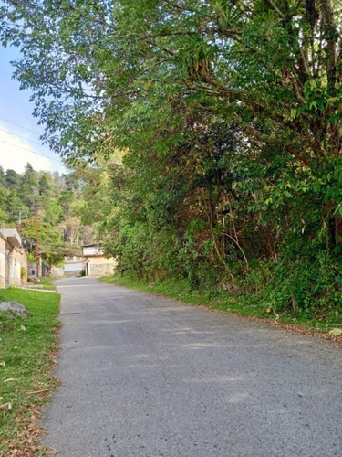 Imagen 7 de 8 de En Venta Amplio Terreno En El Sector La Pedregosa, Mérida Municipio Libertador
