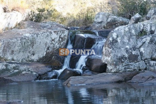 Imagen 4 de 30 de Campo Turistico Cerca De Punta Del Este