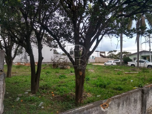 Imagem 4 de 5 de Terreno - Centro - Ref: 26464 - V-26463