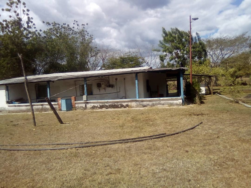 Imagen 9 de 14 de Finca Con 1.100 Hectáreas De Terreno Propio Tu Oportunidad