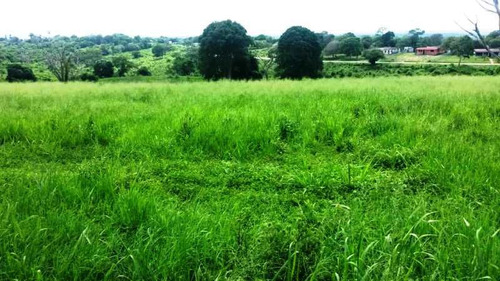 Imagen 5 de 16 de Venta Finca En Yaracal Estado Falcón