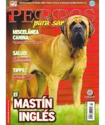 Revista Perros Pura Sangre  Antiguo Perro de Pastor Inglés