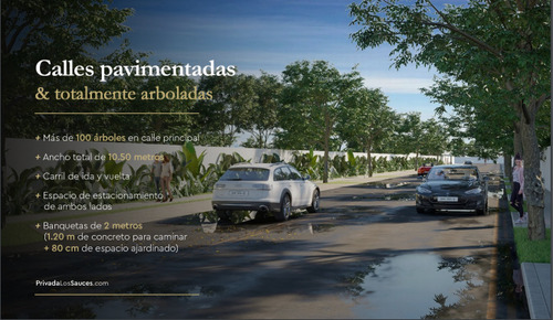 Fabulosos Lotes Residenciales